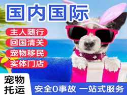 屯溪航空快运国际宠物托运 【国